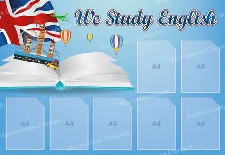 We study english