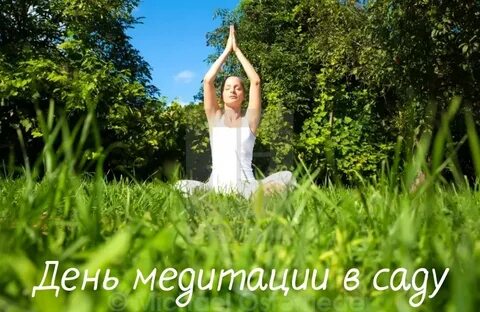 День медитации в саду