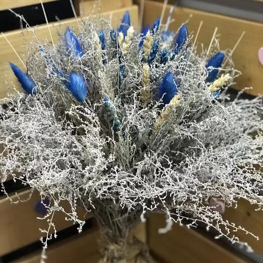 Полынь – «одолень». Бессмертник сухоцвет. Букет полыни. Полынь обыкновенная, чернобыл. Артемизия сухоцвет.