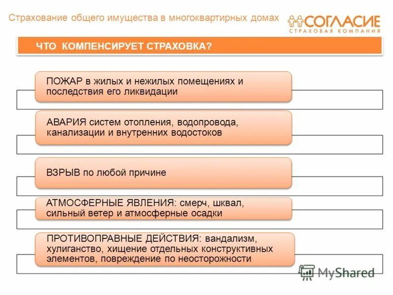 согласие страховая компания дтп