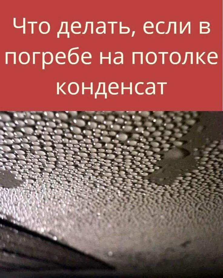 Что значит конденсат. Конденсат в погребе. конденсат на потолке. конденсат на потолке в погребе. летом в погребе конденсат.