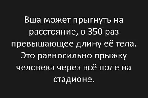 350 раз