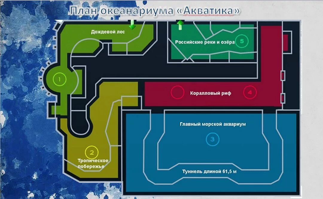 Океанариум схема. Океанариум СПБ план. План океанариума. Планировка океанариума. Приморский океанариум план.