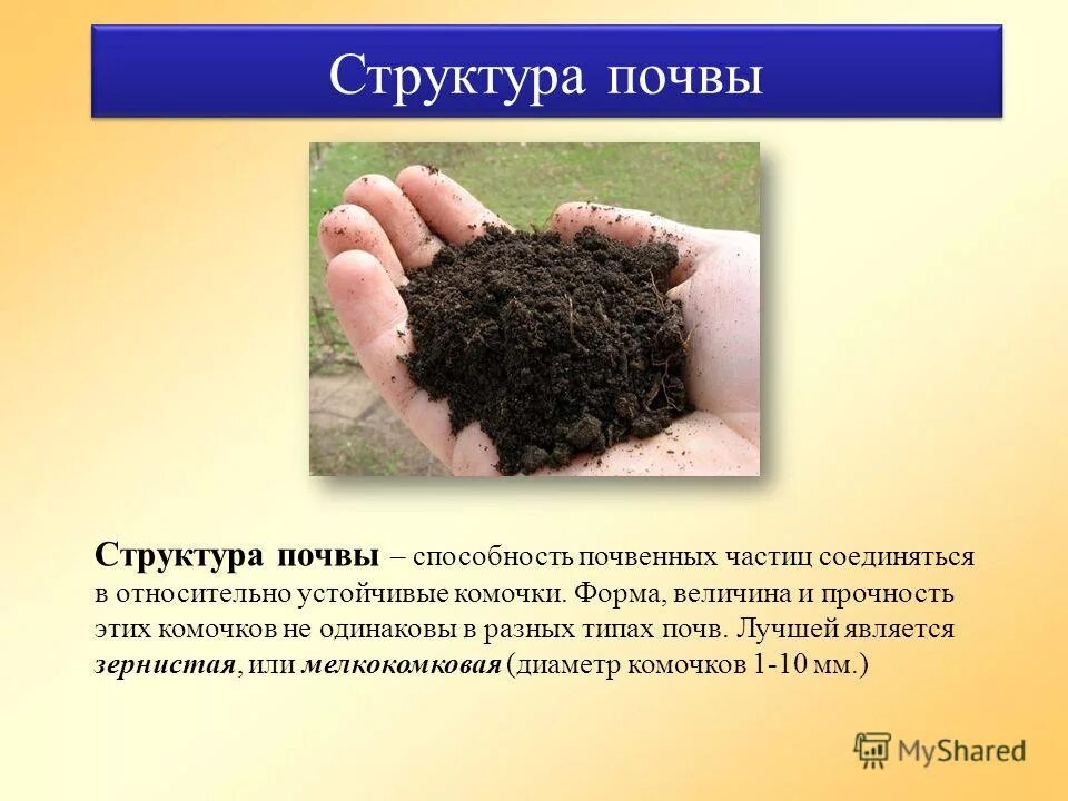 Какая бывает структура почвы. Комковато-зернистая структура почвы. структура почвы. зернистая структура почвы. состав почвы.