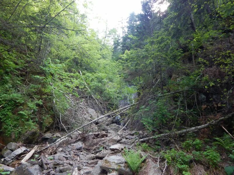 Николаевка приморский край партизанский. Погода в николаевке приморского партизанского. Погода в николаевке приморского партизанского. Погода в николаевке приморского партизанского. Погода в николаевке приморского партизанского.