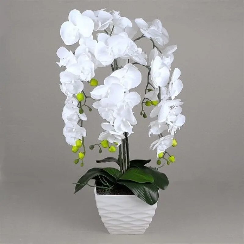 Орхидея белая в горшке. Искусственная Орхидея в кашпо. Белые орхидеи искусственные в горшках.