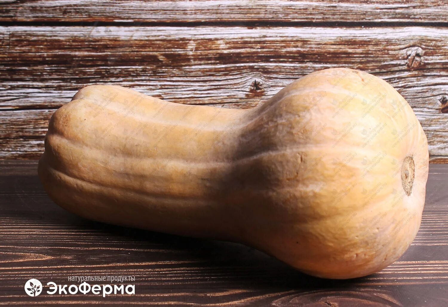 Семена гигантской лагенарии, новый, в наличии. Цена: 500 ₽ в Уссурийске