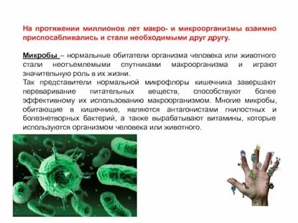 Суждения о бактериях