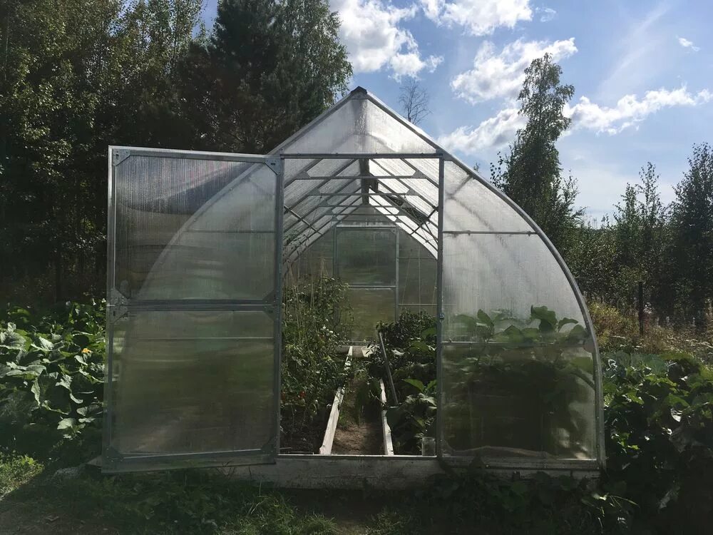 Теплицы чита соты. Сота теплицы чита. Теплица богатырь усиленная. Теплицы сота в улан-удэ. Завод сота улан-удэ.