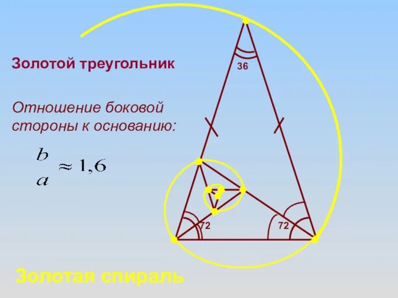 Золотой треугольник сайт. Золотое сечение треугольника. Золотой треугольник золотое сечение. Пропорции золотого треугольника. Золотой треугольник геометрия.