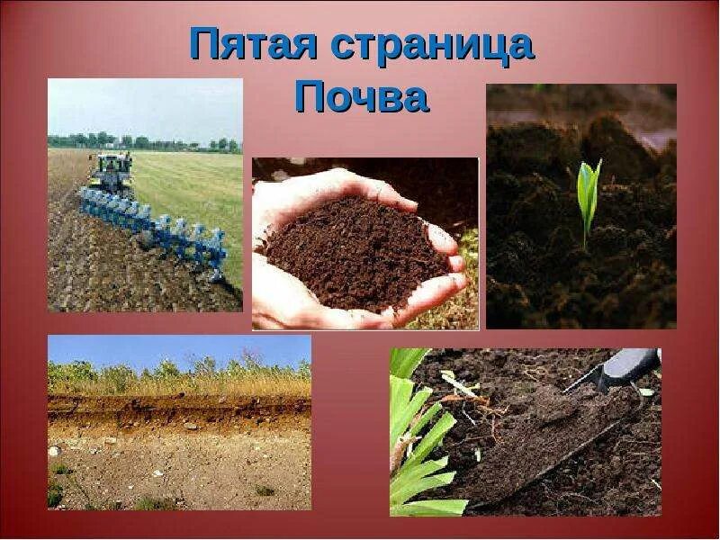 Проект про почву 4 класс Презентация на тему: "Есть на свете чудесная кладовая. Положишь в неё мешок зерн