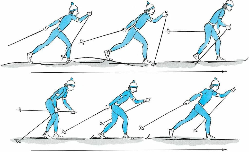 Уровень лыжника. Попеременный двухшажный ход техника хода. Попеременный двухшажход на лыжах. Одновременный двухшажный ход на лыжах. Техника лыжного хода попеременный двухшажный ход.