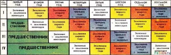 После чего можно сажать весной. Лучшие предшественники для земляники. Севооборот клубники. Что сажать после клубники на грядке. Севооборот земляники садовой.