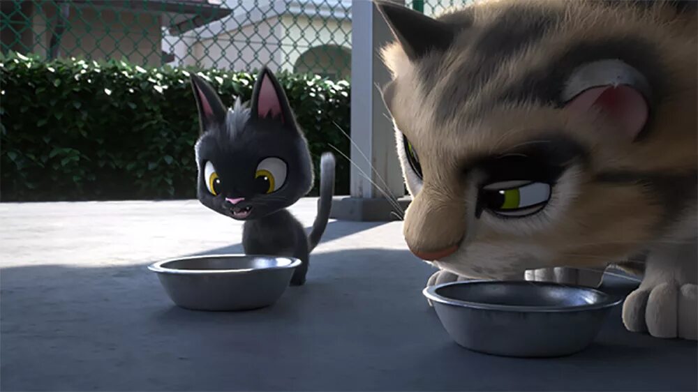 Жил был кот на русском языке. Жил был кот ихмиллион.