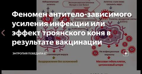 Антитело зависимое