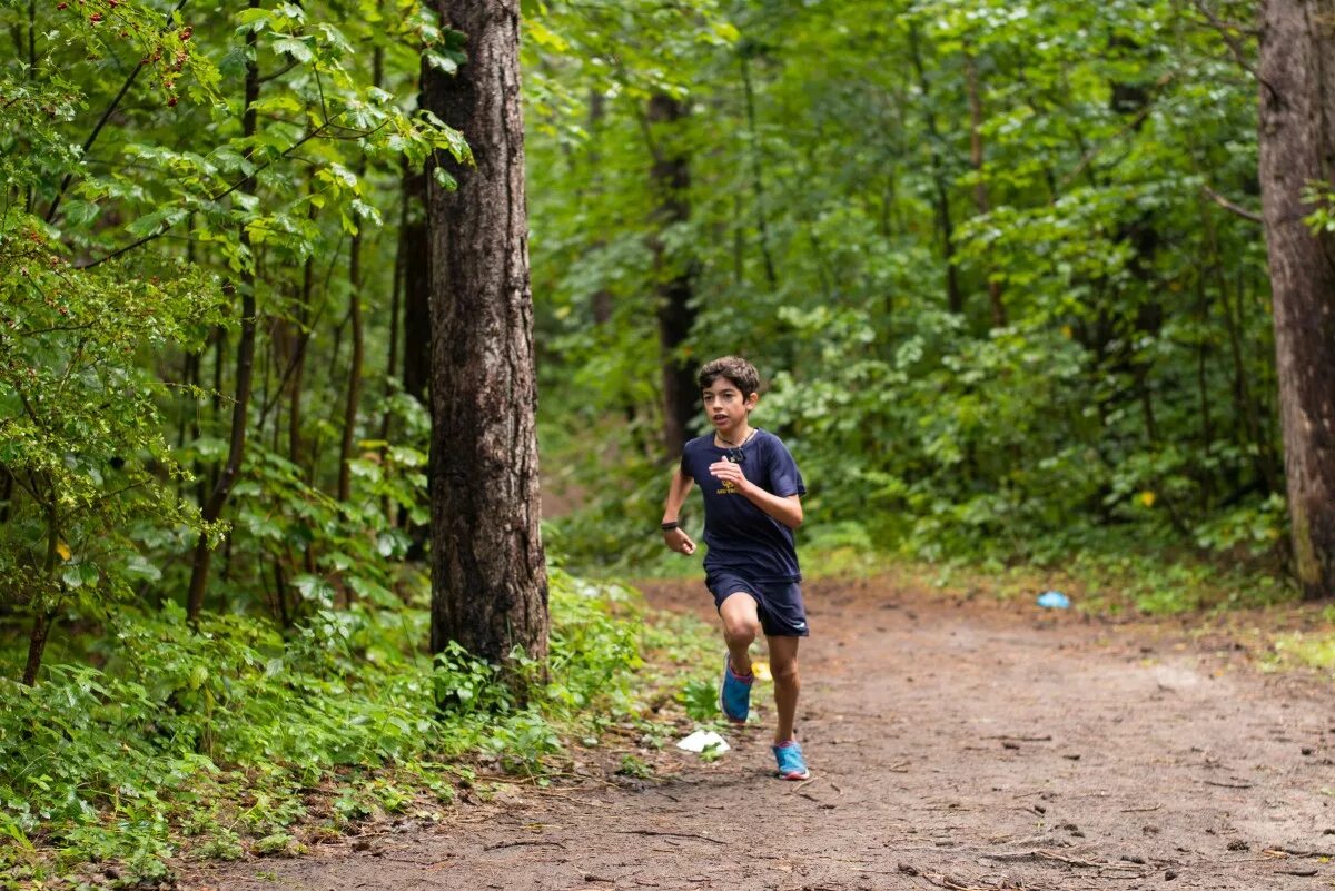 Пешие прогулки по лесу. Прогулка на природе. Прогулки в лесу с детьми. Дети в парке. Прогулка в хвойном лесу.