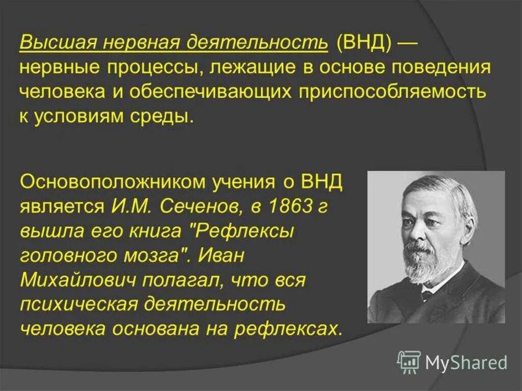 Высшая нервная деятельность. Высшие нервные деятельности. Высшая нервная деятельность (ВНД). Основа высшей нервной деятельности человека. Что изучает физиология высшей нервной деятельности