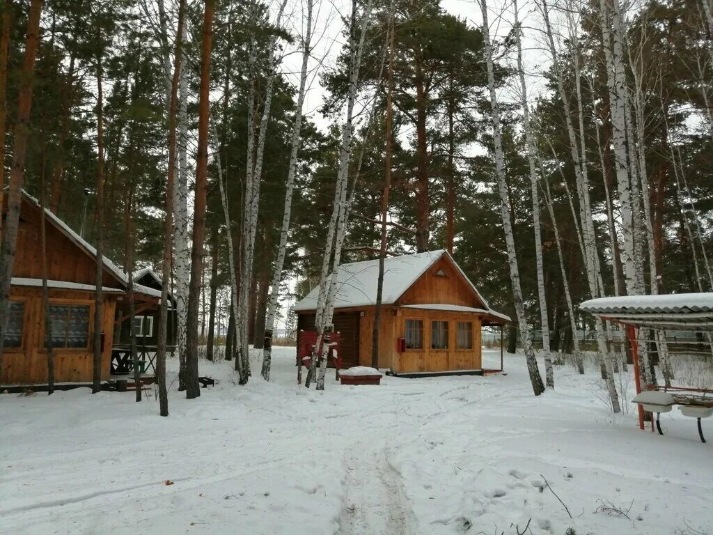 сосновый лог алтайский край. база отдыха ивушка егорьевский район алтайский край. петухов лог. егорьевский район алтайский край турбазы. ясная поляна новоегорьевское.