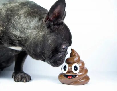 Eat poop