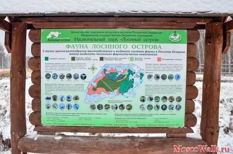 Лосиный остров билеты