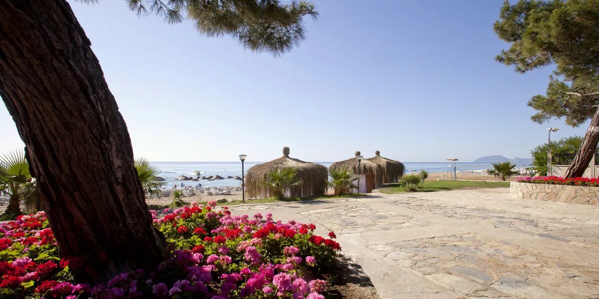 Турция отель пинара. Beach club pinara 4 турция. Пинара отель турция кемер. Beach club pinara hv2 4 турция кемер tekirova. Club pinara 4 турция кемер текирова.