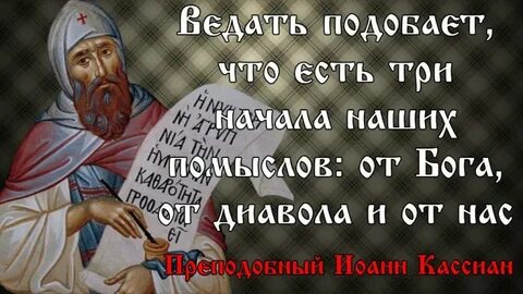 Мудр ли