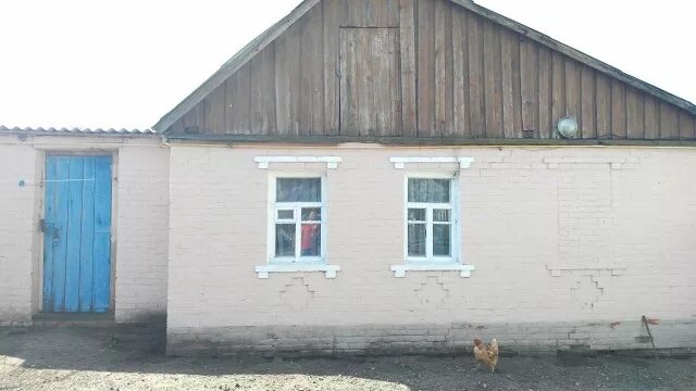 Погода беленькое белгородская