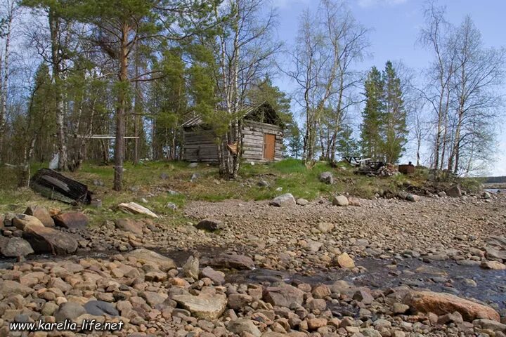 Погода в тикше