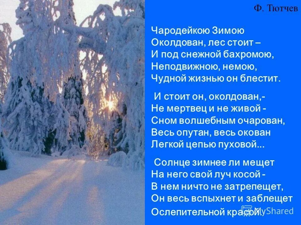 Тютчев лес. Ф Тютчев Чародейкою зимою. Тютчев лес околдован. Чародейкою зимою околдован Тютчев. Стихотворение ф Тютчева Чародейкою зимою.