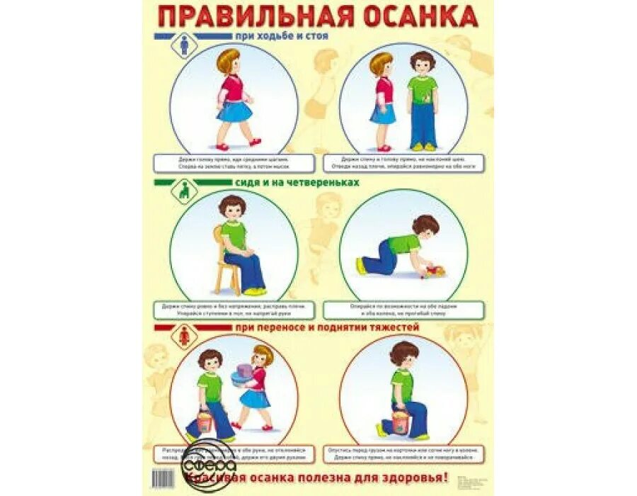 Правила сохранения осанки