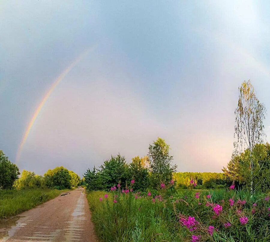 Природа,солнце, Раздолье России. Лето Радуга. Природа после дождя. Радуга в небе.