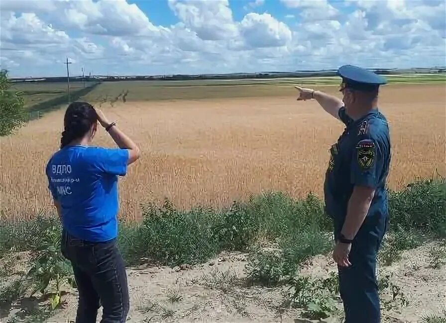 Погода в сиволобове обливского. Погода в сиволобове обливского. Погода в сиволобове обливского. Сотрудники обливский лесхоз. Станция обливская ростовская область.