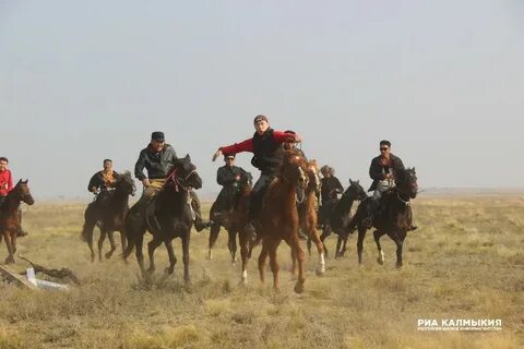 Калмыки дикие