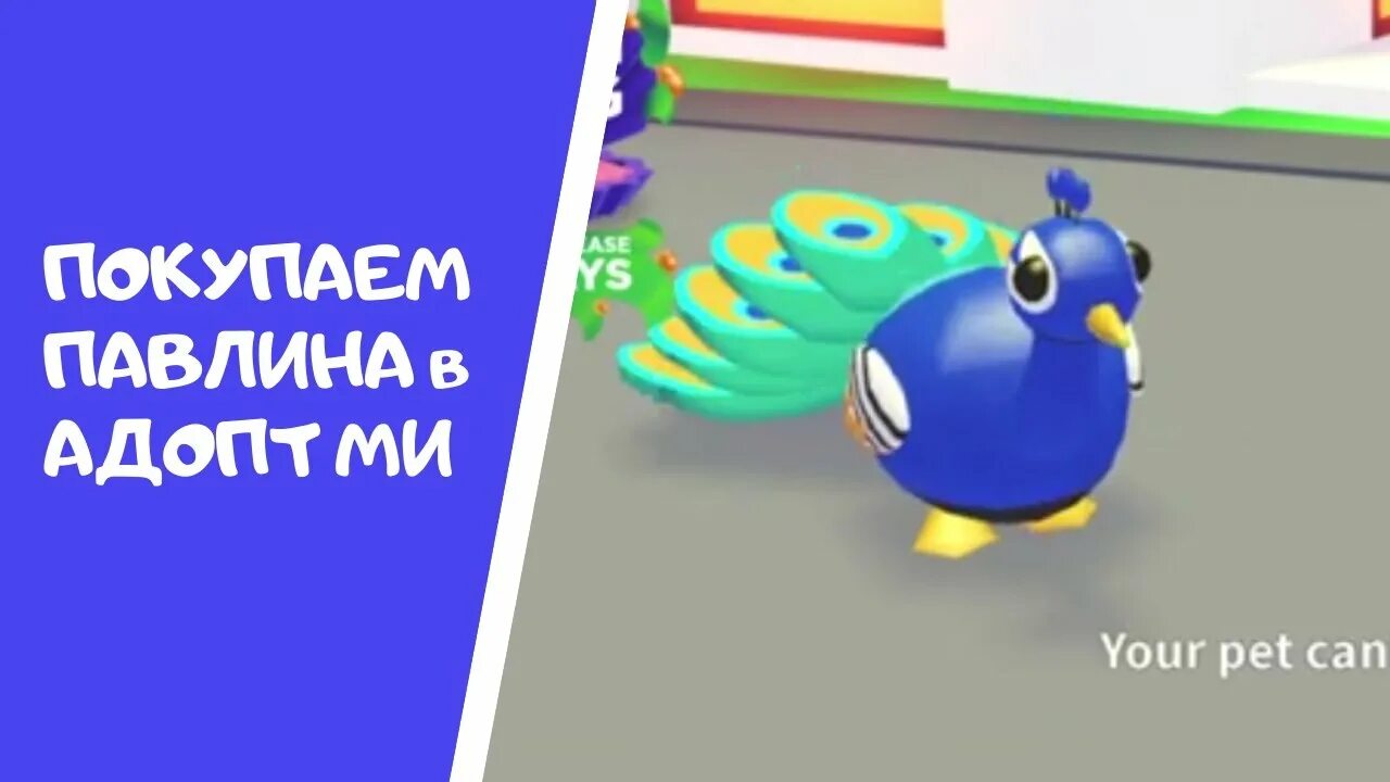 Павлин адопт ми. Павлин адопт ми роблокс. Неон флай райт единорог. Неон павлин в адопт ми. Павлин в роблоксе.