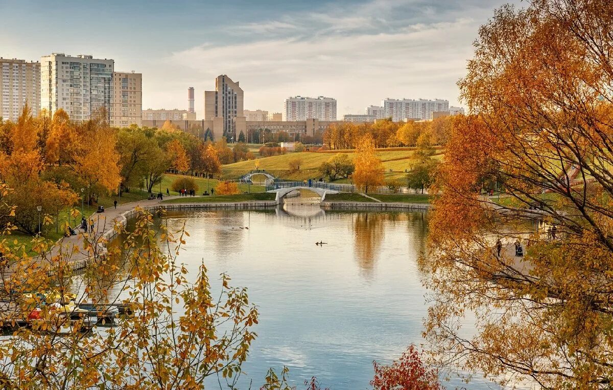 Парк Борисовские пруды осенью. Пруд парк олимпийской деревни Москва. Парк Ангарские пруды Золотая осень. Парк Олимпийская деревня октября. 10 октября улица москва