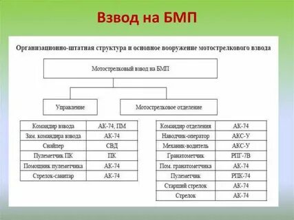 Вооружение и техника мотострелкового взвода
