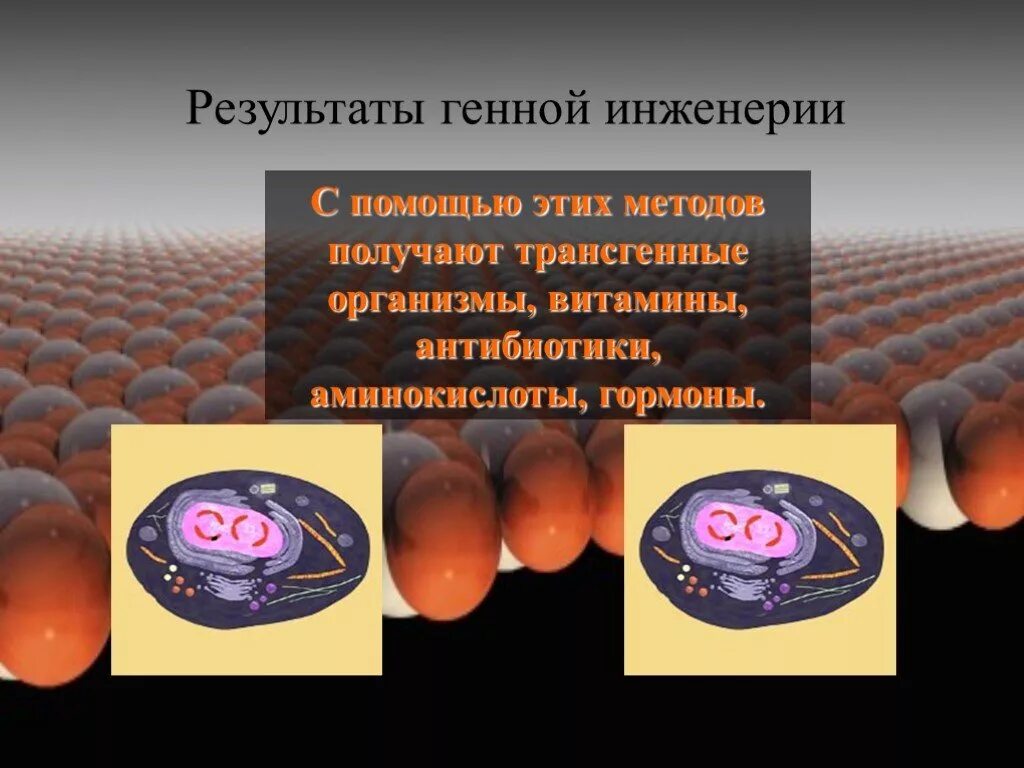 Применение генной инженерии. Генная инженерия. Генная инженерия примеры. Генетическая инженерия человека. Результаты генной инженерии.