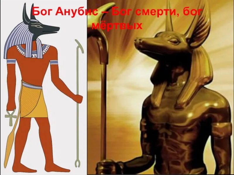 Объясни слово анубис. Анубис Бог. Анубис Бог смерти. Бог смерти в Египте. Факты про Анубиса.