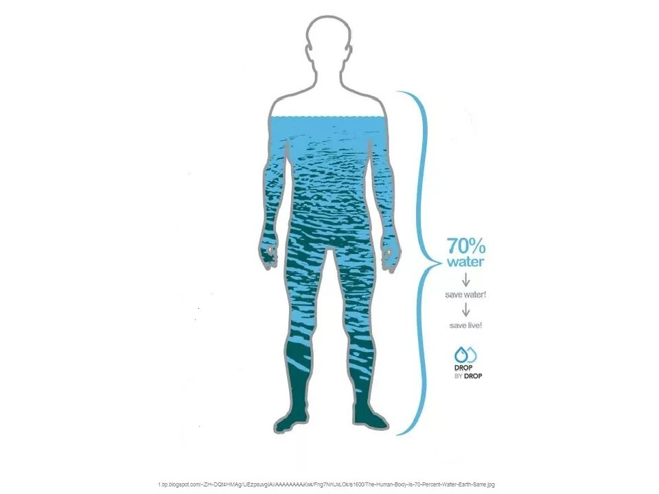 Человек на 75 состоит из воды. Влияние воды на организм. Воздействие человека на воду. Вода в организме человека. Влияние воды на тело человека.
