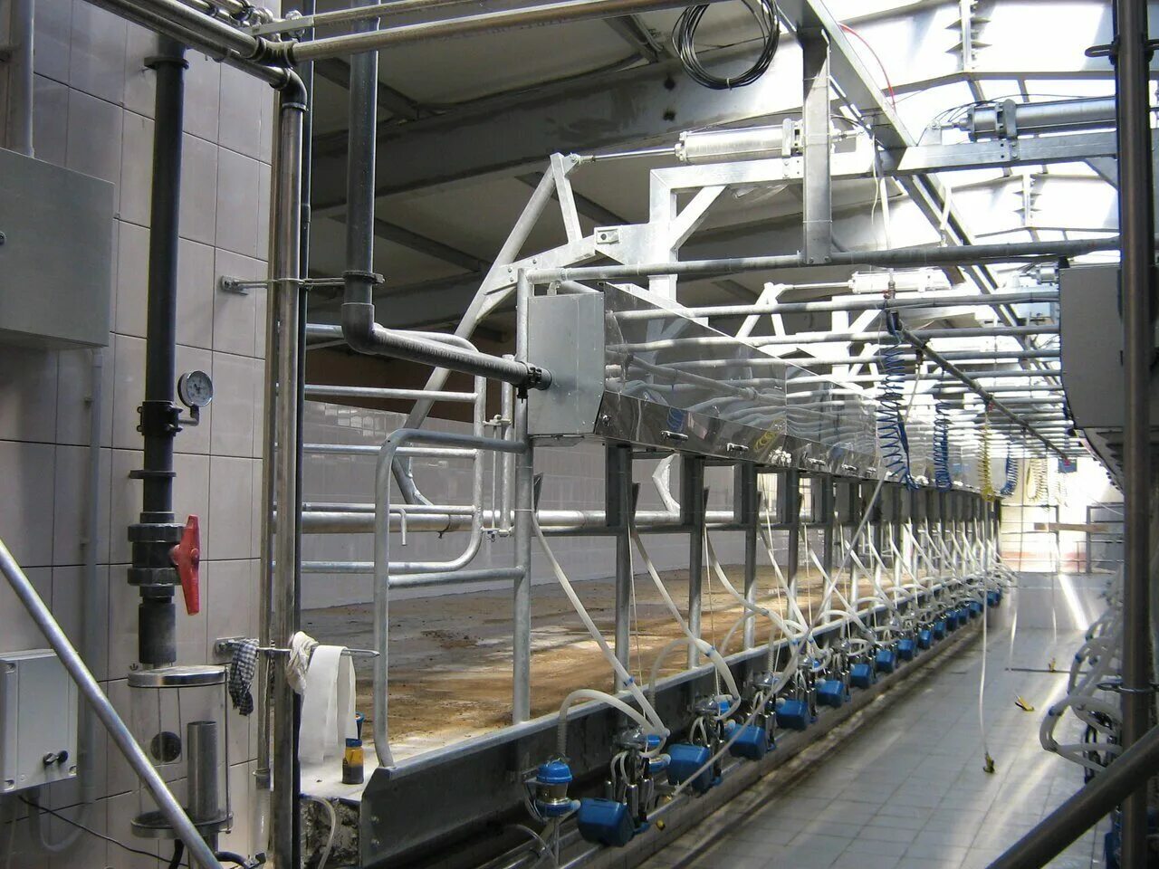 Станок удс для доения коров размеры. Молочная ферма молокопроводы. Доильный аппарат милка. Доильный аппарат для женщин. Молокопровод делаваль.
