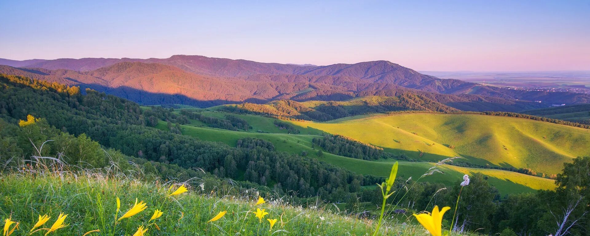 Алтайский край предгорье. Село Алтайское предгорье. Природа предгорья Алтая. Фото предгорье Алтая. Каким будет лето в алтайском крае