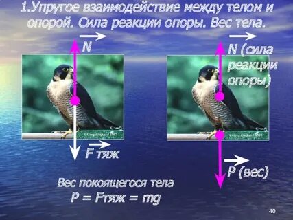 Сила опоры примеры