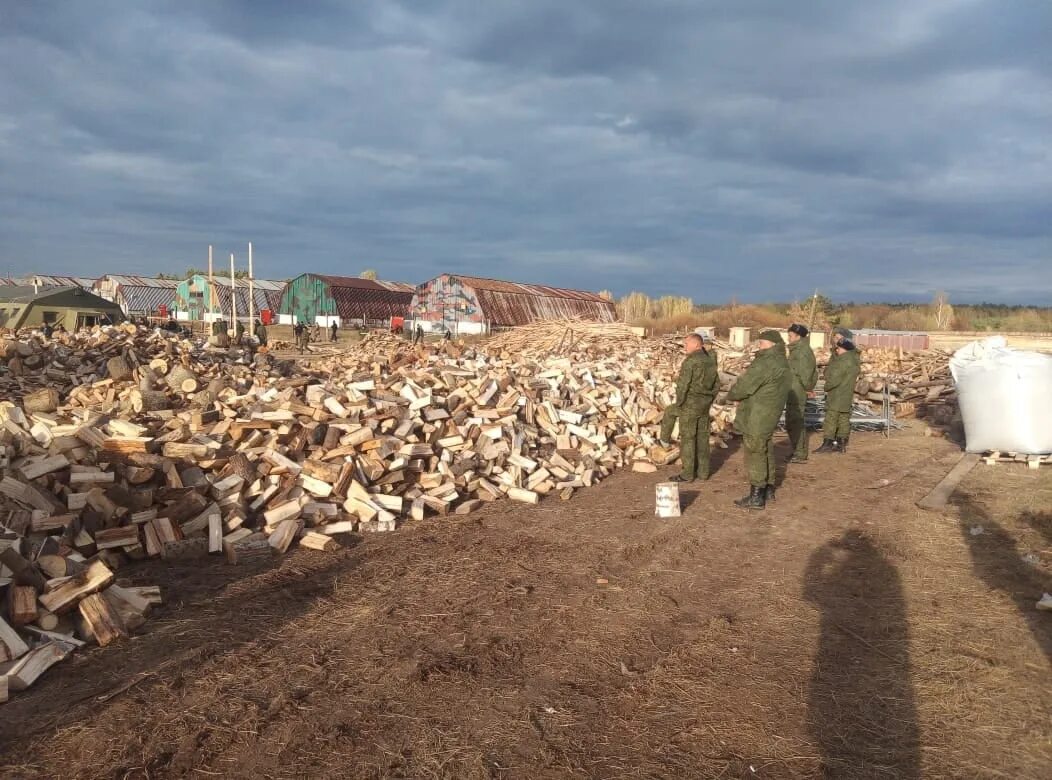 Распиловка дров. Елань мобилизация. Мобилизованные в Елани. Мобилизованные в Елани фото.