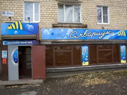 Сайт зал петрозаводск