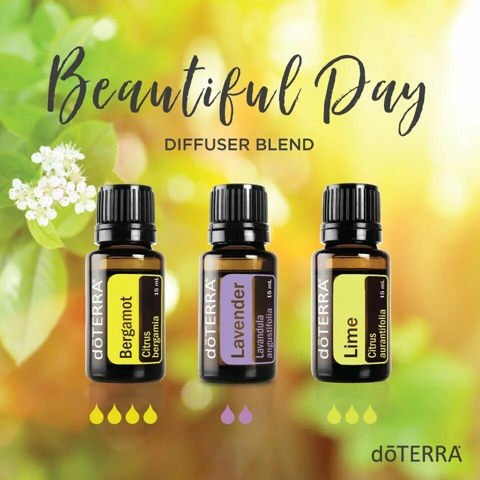 ДОТЕРРА бергамот эфирное. Смеси эфирных масел DOTERRA. Бергамот эфирное масло дотейра. Манука DOTERRA. Дотерра смесь масел