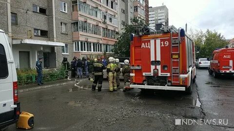 Эвакуация февраль