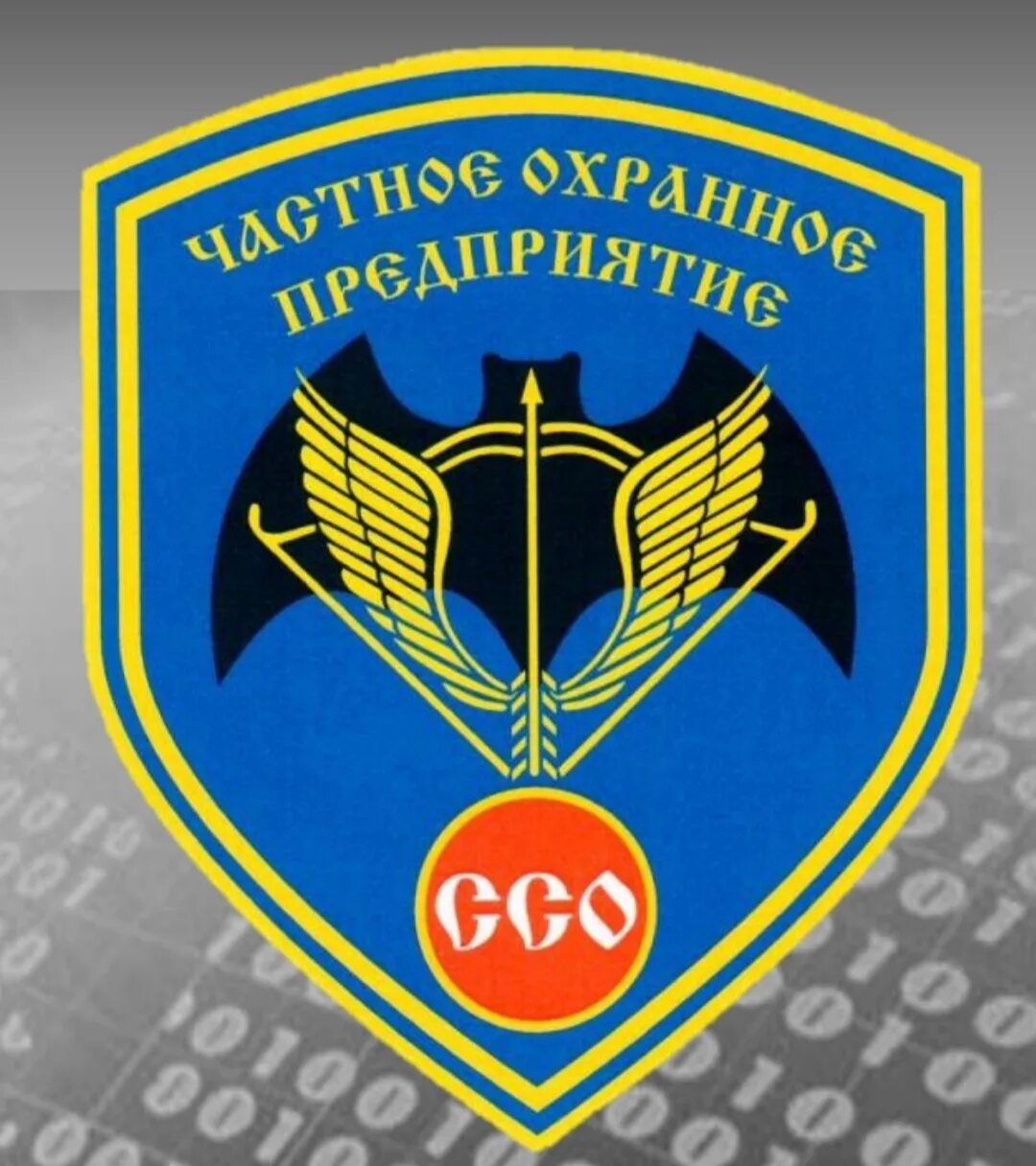 Охранник фото. Охрана территории предприятия. Воркута вневедомственная охрана. Охрана жилого комплекса. Ссо охрана.