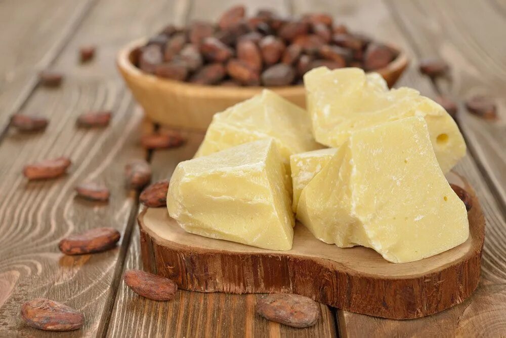 Chocolate is extracted from the