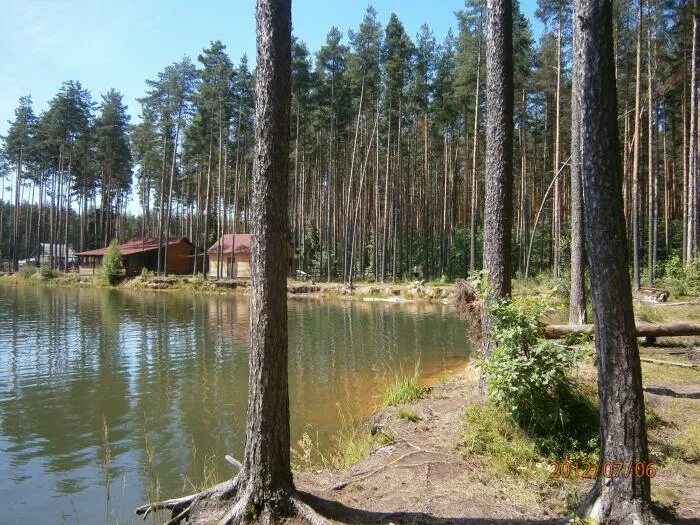 Ждановское озеро. Ждановское озеро всеволожск. 2 ждановское озеро во всеволожске. круглое озеро всеволожск. озеро большое всеволожск.