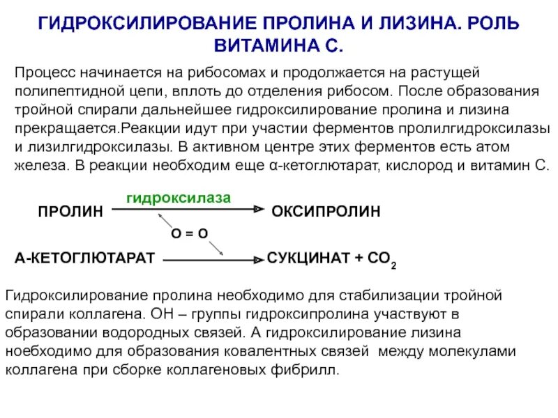 Витамин участвующий в синтезе коллагена. Роль витамина с в гидроксилировании пролина и лизина. Реакция гидроксилирования лизина при синтезе коллагена. Гидроксилирование пролина при синтезе коллагена. Реакция гидроксилирования пролина и лизина.